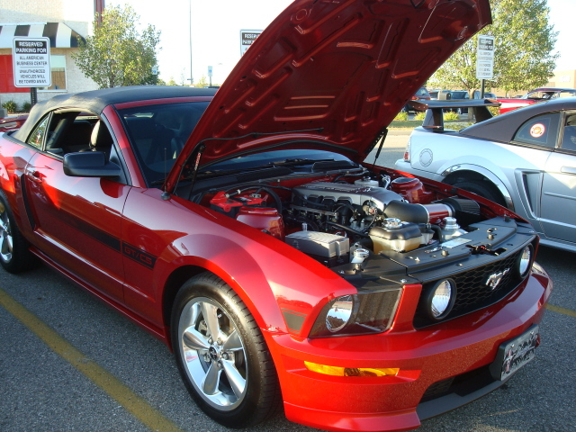 91310_178.JPG