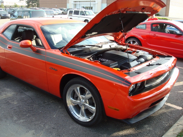  82012 (137)