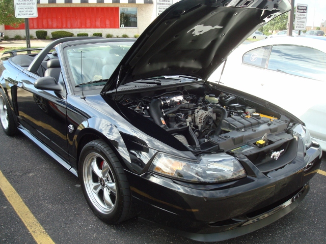  82012 (23)