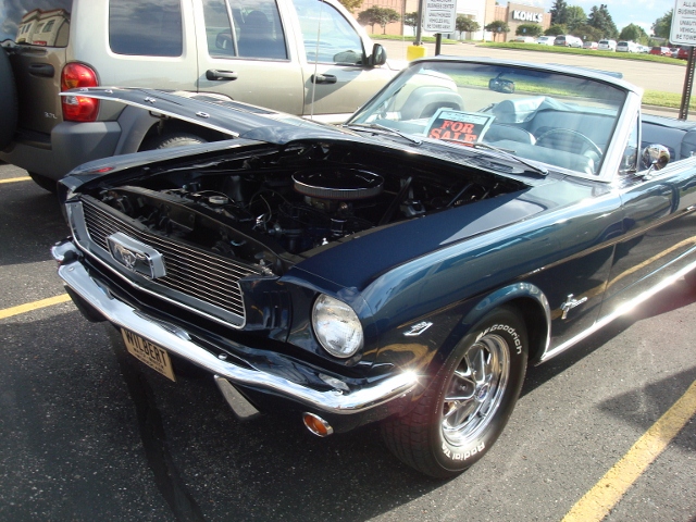  82012 (29)