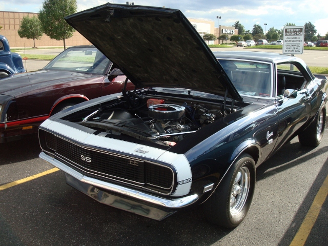  82012 (33)