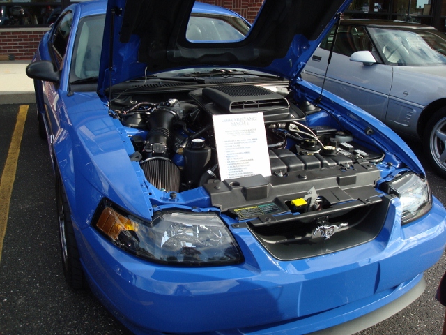  82012 (5)