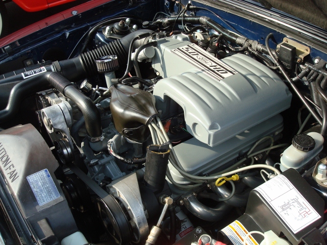  82712 (49)