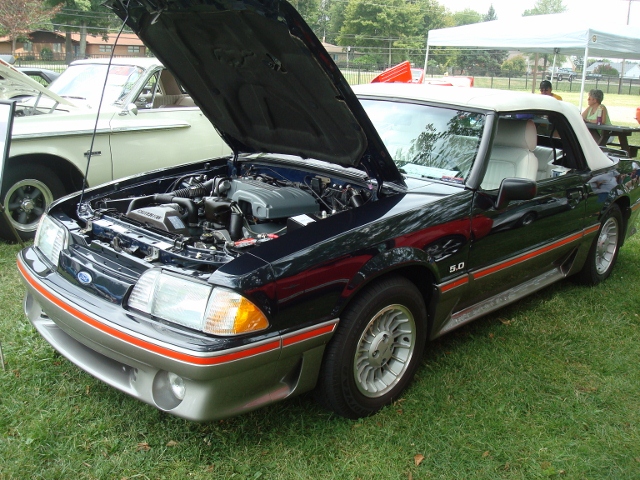 71512 Picnic (29)