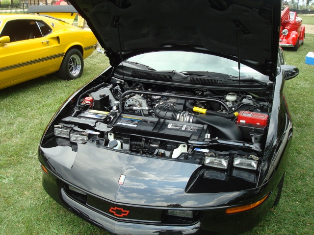 71512 Picnic (38)