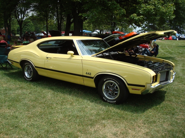 71512 Picnic (71)