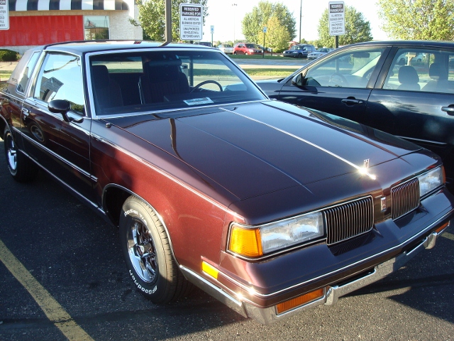  91012 (117)
