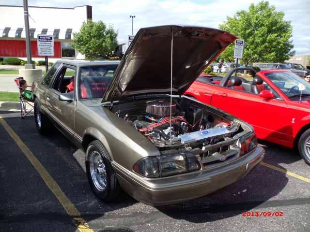 9213 (16)