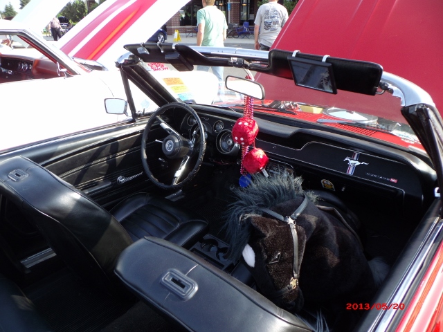  52013 (31)