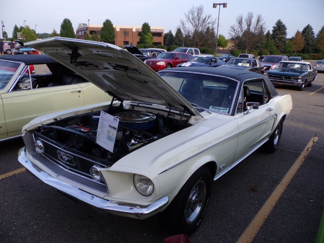 82514 (118) (640x480)