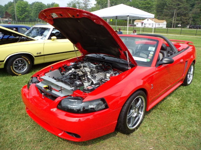 72014 Picnic (55)