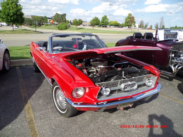 61614 (8) (640x480)