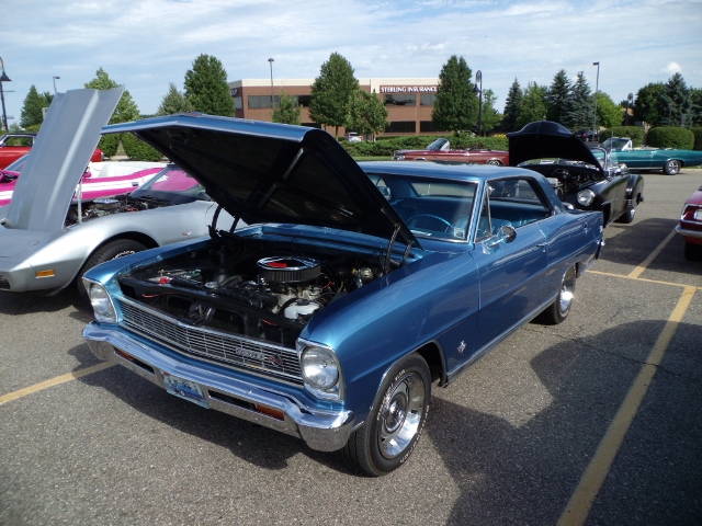 72015 (81)