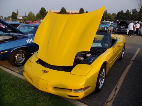 83115 (100)