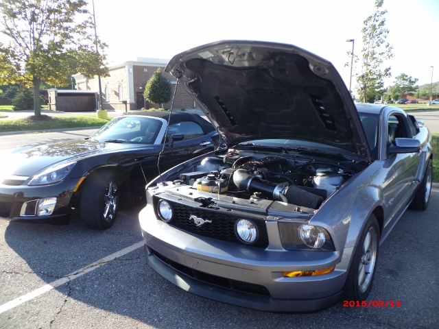 91415 (74)