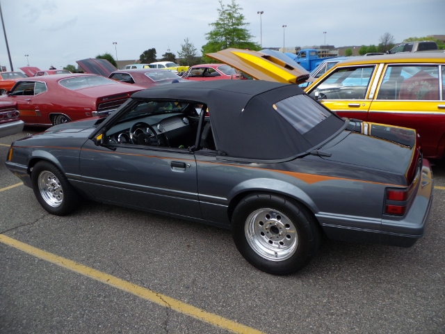 51815 (64)