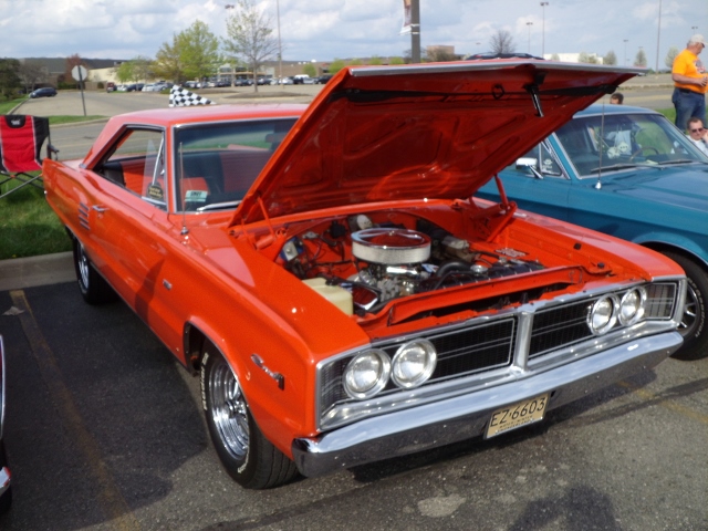 5415 (31)