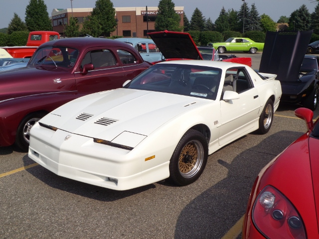 7615 (79)