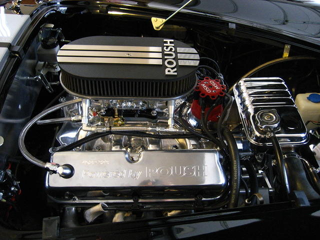 20100328_485