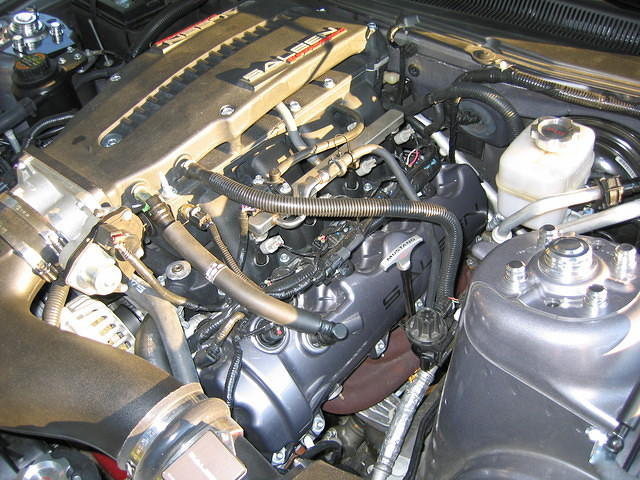 6-28-08 030