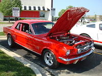 5-29-11 015.jpg