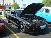 5-29-11 019.jpg
