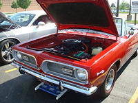 5-29-11 086.jpg