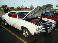 5911_003.jpg
