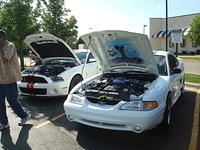 61311_014.jpg
