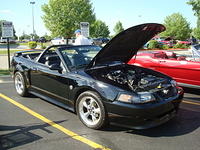 61311_017.jpg