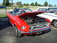 61311_071.jpg