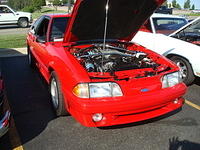 61311_081.jpg