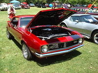 AH 6-25-11 Picnic 035.jpg