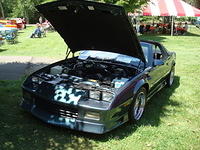 AH 6-25-11 Picnic 037.jpg
