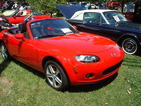 AH 6-25-11 Picnic 038.jpg