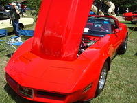 AH 6-25-11 Picnic 041.jpg