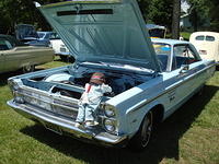 AH 6-25-11 Picnic 044.jpg
