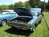 AH 6-25-11 Picnic 049.jpg