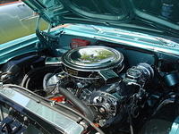 AH 6-25-11 Picnic 076.jpg