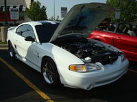 6-6-11 035.jpg