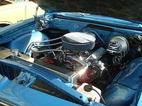 6-6-11 058.jpg