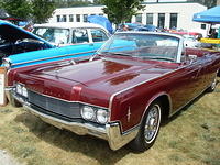 Lions72411_026.jpg