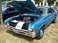 Lions72411_033.jpg