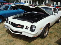 Lions72411_034.jpg