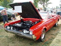 Lions72411_046.jpg