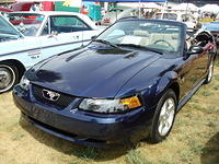 Lions72411_049.jpg