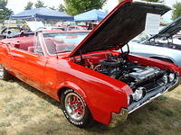 Lions72411_052.jpg