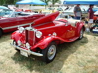 Lions72411_054.jpg