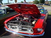 72511_195.jpg