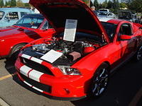 82911_147.jpg